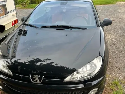 Gebraucht Peugeot 206 CC 136 PS (100 kW) 2003 Schwarz Cabrio