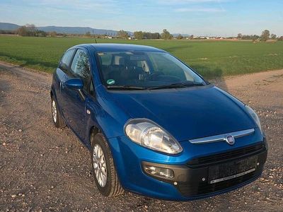 Usata Fiat Punto 69 CV (50 kW) 2011 Utilitaria