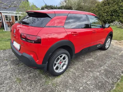 Gebraucht Citroën C4 Cactus Shine 102 PS (75 kW) 2019 Rot Kleinwagen