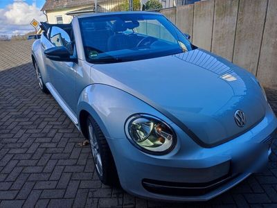 gebraucht VW Beetle 1.4 TSI BMT CLUB Cabriolet CLUB