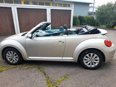 VW Beetle