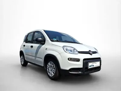 Gebraucht Fiat Panda 69 PS (50 kW) 2024 Weiß Kleinwagen