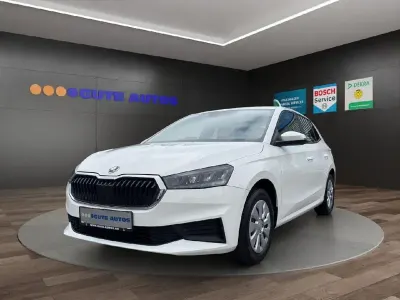 Gebraucht Skoda Fabia Active 65 PS (47 kW) 2022 Candyweiss Kleinwagen