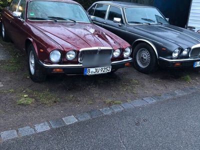 gebraucht Jaguar XJ12 Serie 3 V 12 Zylinder Grüne Umweltpl. 1er muß weg