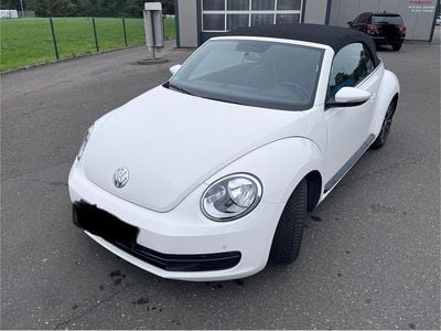 VW Beetle