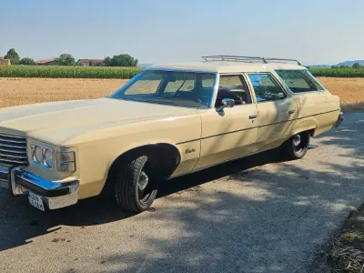 Gebraucht Pontiac Grand Safari 204 PS (150 kW) 1976 Weiß Kombi