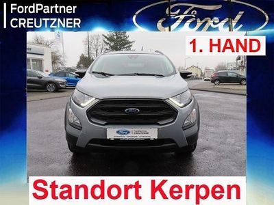 Gebraucht Ford Ecosport Active 125 PS (91 kW) 2021 Silber SUV