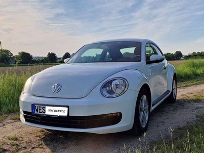 gebraucht VW Beetle Basis BMT