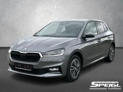 Gebraucht Skoda Fabia Tour 150 PS (110 kW) 2022 Graphitegrau metallic Kleinwagen
