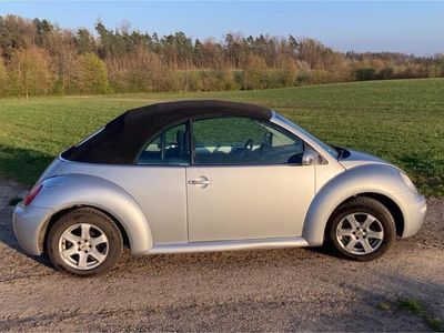 VW Beetle