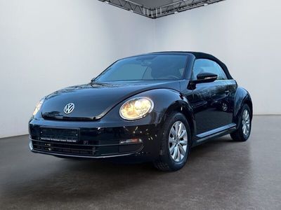 VW Beetle