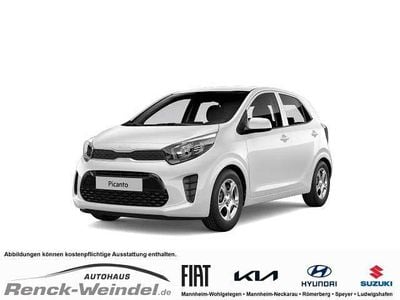 Weiß Gebraucht 2024 Kia Picanto Vision Kleinwagen | 16.989 € (Fairer Preis)