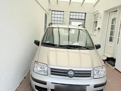 Second-hand Fiat Panda 54 CP (39 kW) 2004 Auriu Hatchback
