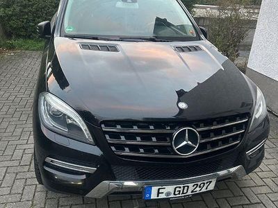 Mercedes ML250