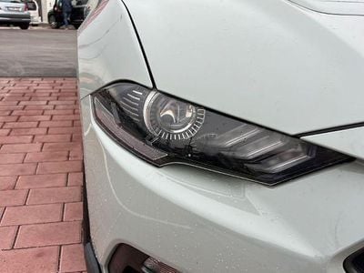 Gebraucht Ford Mustang Mach 1 460 PS (338 kW) 2021 Grau Coupé