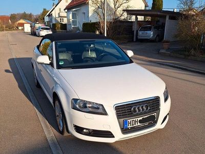 Weiß Gebraucht 2008 Audi A3 Cabriolet Cabrio | 6.500 € (Etwas zu teuer)