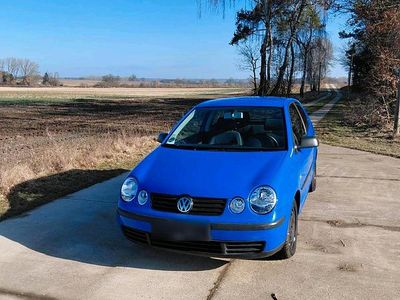Gebraucht VW Polo 64 PS (47 kW) 2001 Blau Kleinwagen