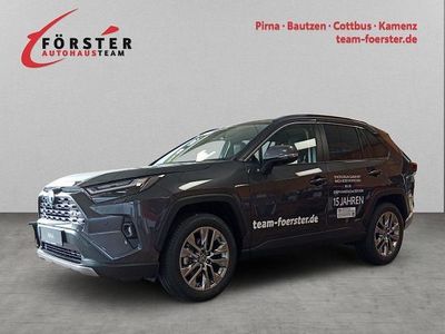Grau Gebraucht 2025 Toyota RAV4 Hybrid Lounge SUV | 50.990 € (Teuer)
