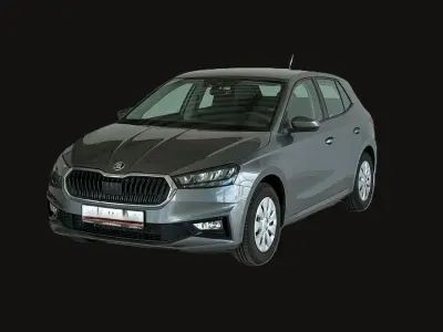 Gebraucht Skoda Fabia Selection 80 PS (58 kW) 2025 Grau Kleinwagen