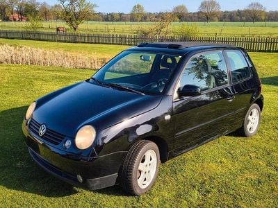 Usata VW Lupo Trendline 60 CV (44 kW) 2002 Nero Utilitaria