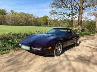 Second-hand Corvette C4 243 CP (178 kW) 1991 Mov Cabrio
