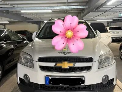 Używany Chevrolet Captiva 150 KM (110 kW) 2008 Biały SUV