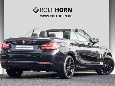 gebraucht BMW 220 d Cabrio Sport Line Navi LED Sitzhzg HiFi 17