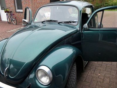 gebraucht VW Käfer -Mexiko 1600