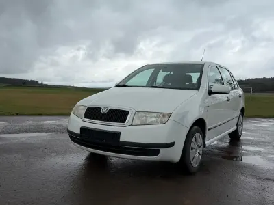 Gebraucht Skoda Fabia 54 PS (39 kW) 2004 Weiß Kleinwagen