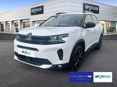 Gebraucht Citroën C5 Aircross 136 PS (100 kW) 2024 Weiß SUV