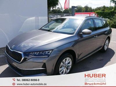 Grau Neu 2025 Skoda Octavia | 33.889 € (Guter Preis)