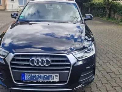 Gebraucht Audi Q3 Sport 150 PS (110 kW) 2016 Schwarz SUV