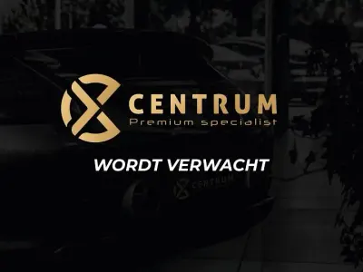 Käytetty Tesla Model X Performance 584 kW (795 HP) 2019 Valkoinen Katumaasturi