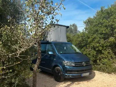 Gebraucht VW T6 Beach 199 PS (146 kW) 2018 Blau Van
