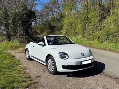 Gebraucht VW Beetle 105 PS (77 kW) 2016 Weiß Kleinwagen