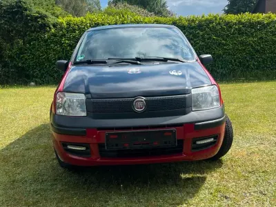 Gebraucht Fiat Panda 55 PS (40 kW) 2009 Rot Kleinwagen