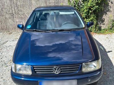 VW Polo