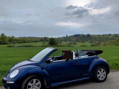 VW Beetle