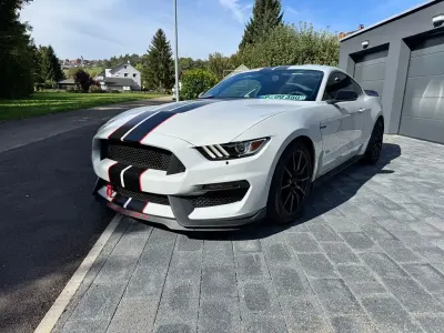 Gebraucht Ford Shelby Fastback 533 PS (392 kW) 2016 Grau Coupé