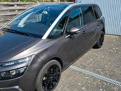 Gebraucht Citroën C4 SpaceTourer Shine 150 PS (110 kW) 2017 Braun Van / Kleinbus