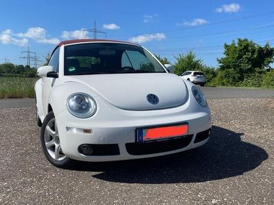 VW Beetle