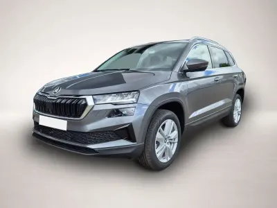 Neu Skoda Karoq Selection 150 PS (110 kW) 2026 Grau SUV