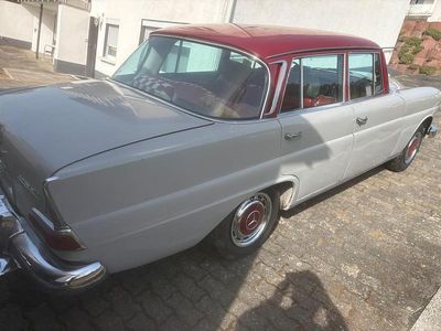 Usata Mercedes 230 110 CV (80 kW) 1967 Andere farben Berlina