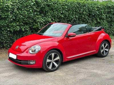 VW Beetle