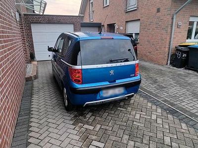 Usado Peugeot 1007 88 CV (64 kW) 2005 Azul Monovolumen