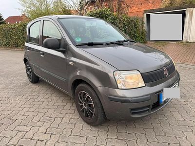 Usata Fiat Panda 2012 Grigio Utilitaria