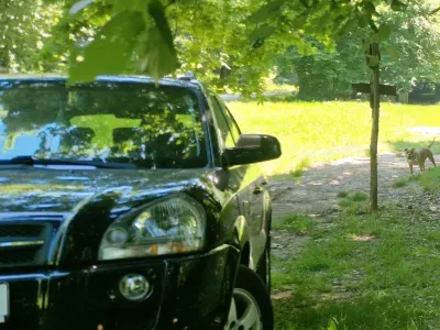 Gebraucht Hyundai Tucson 141 PS (103 kW) 2006 Schwarz SUV