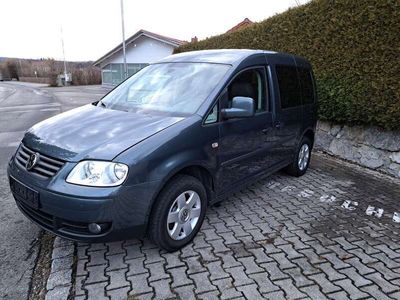 gebraucht VW Caddy Caddy Life Gewinner