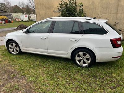 gebraucht Skoda Octavia 