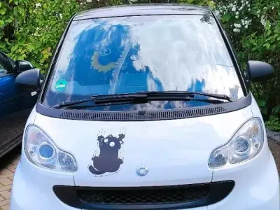 Usata Smart ForTwo Coupé